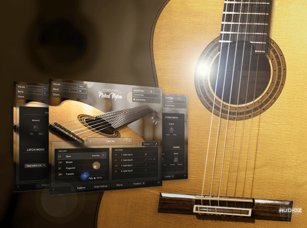 دانلود بانک کانتکت گیتار Native Instruments - Session Guitarist Picked Nylon